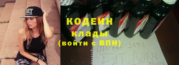 индика Белокуриха