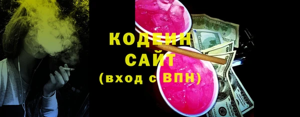 индика Белокуриха