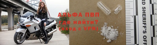 индика Белокуриха