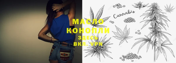 индика Белокуриха