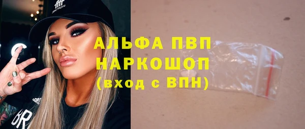 индика Белокуриха