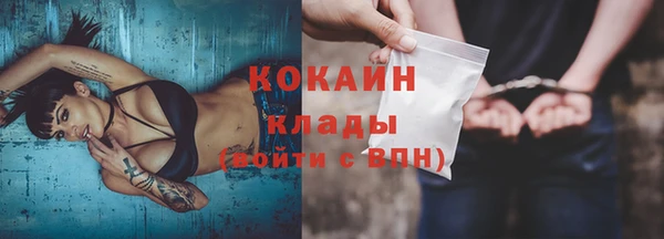 индика Белокуриха