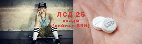 индика Белокуриха