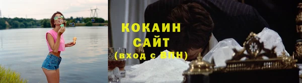 индика Белокуриха