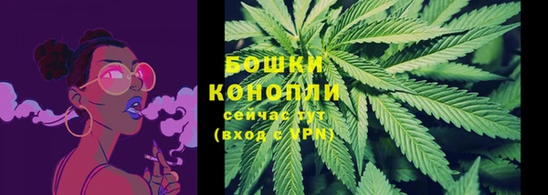 индика Белокуриха